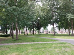 Foto park en drijvende woningen.jpg